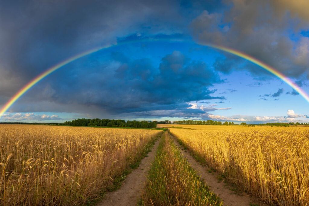 Peltomaisema, jonka keskellä kulkee hiekkatie ja taivaanrannassa sateenkaari